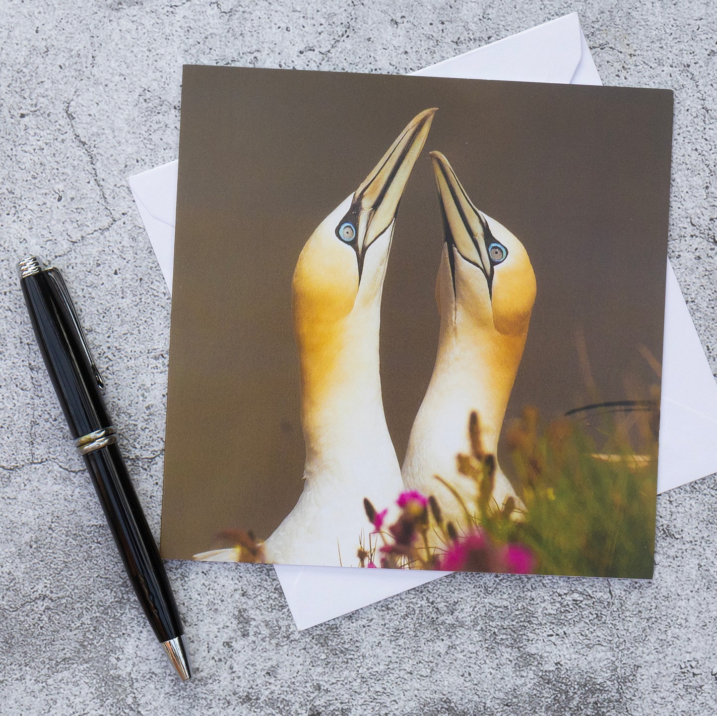 Gannet Greeting Card – Courting Pair with Purple Wildflowers | Wildlife Animal Card | Bird Greetings Card | Wildlife Card | Blank Card