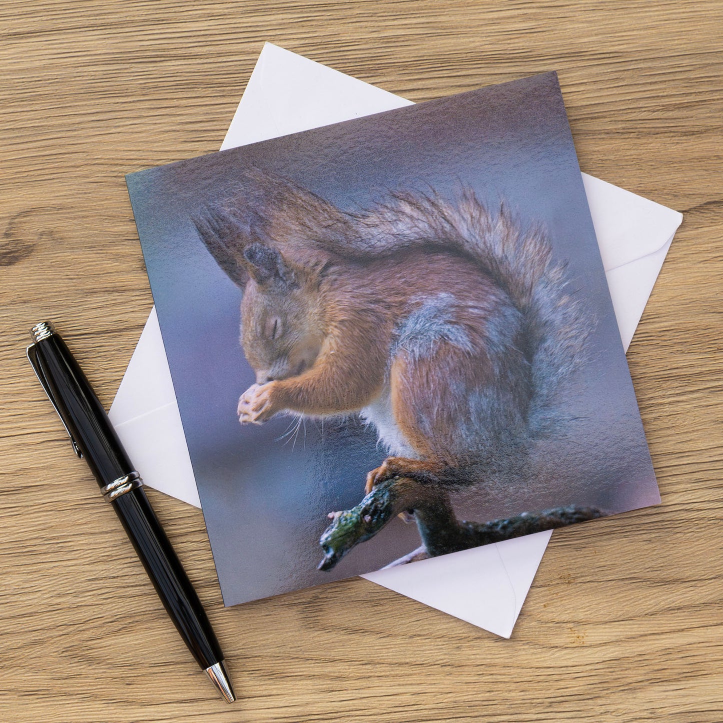 Red Squirrel Greeting Card – "A Moment of Peace" | Wildlife Animal Card | Squirrel Greetings Card | Wildlife Card | Blank Card