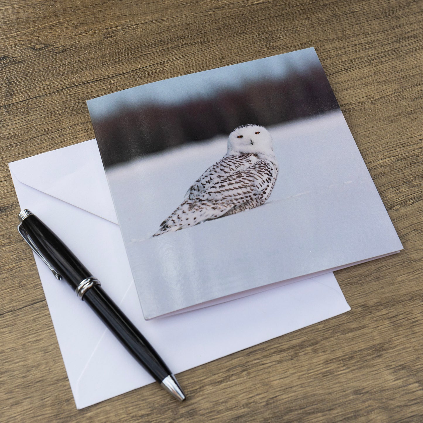 Snowy Owl Greeting Card – A Stunning Scene from Arctic Canada | Square Greeting Card | Ideal for wildlife lovers